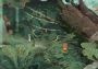 Tiny Echo EN Global Steam Digital Key