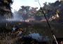 Professional Fishing - Starter Kit Basic DLC EN/DE/FR/IT/PL/RU/ZH/ES Global Steam Digital Key