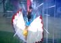 NARUTO STORM 4: Road to Boruto Expansion DLC EN United States Steam Digital Key