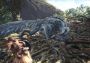 Monster Hunter: World - Deluxe Kit DLC EU Xbox One/Series Digital Key