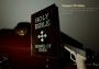 Reficul 666 EN Global Steam Digital Key