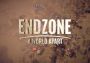 Endzone: A World Apart Complete Edition Global Steam Digital Key