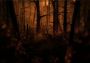Kholat EN Global Steam Digital Key