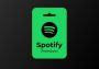 Spotify Premium 6 Months IE Ireland Spotify Digital Key