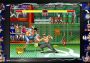 Street Fighter - 30th Anniversary Collection EU Steam Digital Key