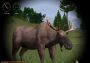 Hunting Unlimited 2010 Global Steam Digital Key