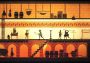 Apotheon Global GOG Digital Key