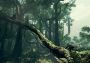 Ancestors: The Humankind Odyssey Latin America Steam Digital Key