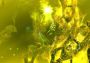 The Sparkle Bundle EN Global Steam Digital Key