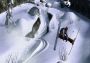 FreakOut: Extreme Freeride Global Steam Digital Key