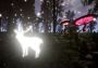 Lucid Cycle EU Nintendo Switch Digital Key