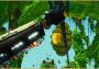Bean Stalker EN Global Steam Digital Key
