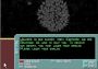 Hyperspeed EN Global Steam Digital Key