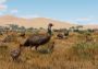 Planet Zoo - Grasslands Animal Pack DLC EU Steam Digital Key