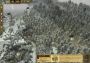 King Arthur - Collection EN/DE/FR/ES Global Steam Digital Key