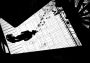 White Night EN/DE/FR/IT/ES EU Steam Digital Key