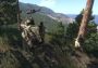 Arma 3 Apex Edition EU Steam Digital Key