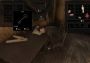 Pathologic 2 - Marble Nest DLC EN/RU Global Steam Digital Key