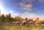 Real Warfare 1242 EN/DE/IT/RU/ES Global Steam Digital Key