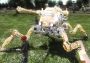 Earth Defense Force 4.1: Depth Crawler Gold Coat DLC EN/JA Global Steam Digital Key