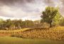 Everybody's Gone to the Rapture Global Steam Digital Key