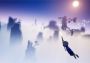 Omno EN Global Steam Digital Key