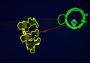 Void Destroyer EN Global Steam Digital Key