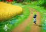 Everdream Valley EU PS5 Digital Key