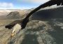 Aquila Bird Flight Simulator Global Steam Digital Key