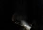Fear of the Dark EN Global Steam Digital Key