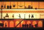 Apotheon EN Global Steam Digital Key