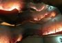 Airport Firefighters: The Simulation EN/DE/FR/IT Global Steam Digital Key
