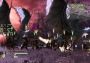 Bladestorm: Nightmare Turkey Xbox One/Series Digital Key