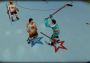 Bush Hockey League EN United States Xbox One/Series Digital Key