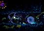 Aeterna Noctis Argentina Xbox Series Digital Key