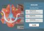 HexGuardian ROW Steam Digital Key