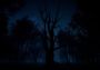 Slender: The Arrival 2023 EU PS5 Digital Key