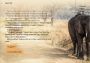 Wanderlust Travel Stories EN Global Steam Digital Key