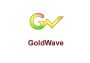 GoldWave 6 EN Global Software License Digital Key