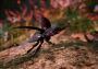 Away: The Survival Series EU PS5 Digital Key