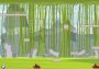 Lucky Panda Global Steam Digital Key