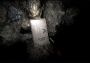 The One We Found EN Global Steam Digital Key