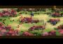 Total War Battles: Shogun EN/DE/FR/IT/ES Global Steam Digital Key