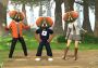 Roblox - Freaky Fly Face DLC Global Official website Digital Key