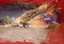 Raptor Territory Global Steam Digital Key