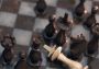 Pure Chess Grandmaster Edition Colombia Xbox One/Series Digital Key