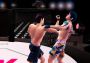 Ultimate MMA Global Steam Digital Key
