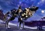 Guild Wars 2 - Complete Collection Global Official website Digital Key
