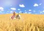 The Unicorn Princess EU Steam Digital Key