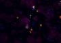 Astervoid 2000 EN/FR/RU/ZH Global Steam Digital Key